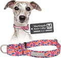 Lucky Love Dog Martingale Dog Collar - Adjustable, No-Slip, Durable, & Soft Webbing Collar for Male and Female Dogs Ideal for Training & Walking - Rosie, Medium