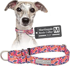 Lucky Love Dog Martingale Dog Collar - Adjustable, No-Slip, Durable, & Soft Webbing Collar for Male and Female Dogs Ideal for Training & Walking - Rosie, Medium