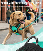 Joytale No Pull Dog Harness for Small Dogs, Reflective Pet Vest with Front Clip, Adjustable Soft Padded Harnesses with Easy Control Handle for Training and Walking, Teal, S