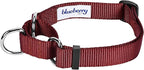 Blueberry Pet Essentials Martingale Safety Training Dog Collar, Fired Brick, Small, Heavy Duty Nylon Adjustable Collars for Dogs