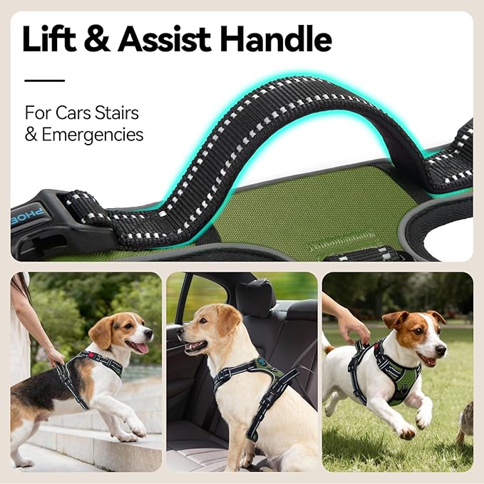 PHOEPET No Pull Dog Harness with Handle Front & Back Clip, Easy on Lockable Snap Buckle at Neck, Adjustable Reflective Vest with Handle for Small Medium Large Dogs (XS, Misty Green)