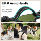 PHOEPET No Pull Dog Harness with Handle Front & Back Clip, Easy on Lockable Snap Buckle at Neck, Adjustable Reflective Vest with Handle for Small Medium Large Dogs (L, Misty Green)