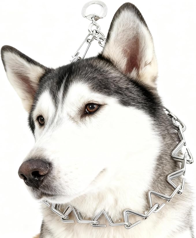 Stainless Steel Curved Prongs Dog Training Collar Adjustable Pet Pinch Collar for Dogs with The Swivel Ring 22in x 3.0mm (Neck Size up to 18in) M/L