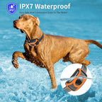 No Shock 2 Dogs Training Collar, 2025 Vibrating 2 Dogs Collar with Remote 2000ft, Beep and Vibration Collor for 2 Dogs 10-120lbs, Rechargeable/Security Lock & Humane to Stop Bad Behaviors