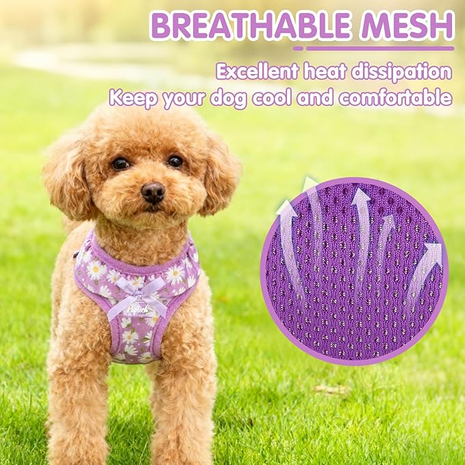 PUPTECK Dog Harness for Puppy and Small Sized Dogs, Step-in No Pull Soft Mesh Vest Harness for Cats Small Pets Walking, Purple Dasiy, New XXS
