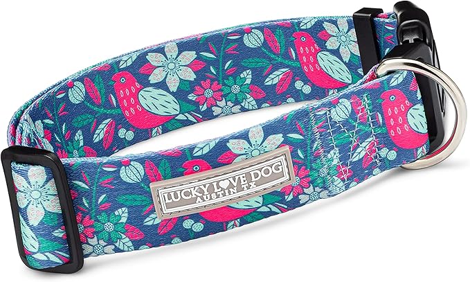 Lucky Love Dog Wide Dog Collar - Adjustable, Durable, Soft Webbing, & Comfortable 1.5 inch Wide Collar for Dogs Male and Female with Strong Buckle - Carriebelle, Large