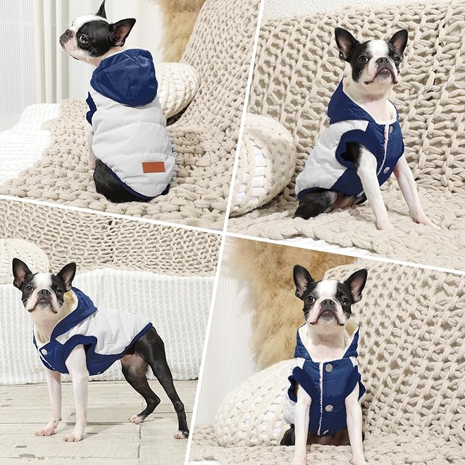 Fleece Lining Extra Warm Dog Hoodie in Winter,Small Dog Jacket Puppy Coats with Hooded,Beige and Blue XS
