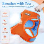 rabbitgoo Dog Harness Small Sized and Leash Set, Step in Soft Light Puppy Vest, Breathable Mesh Pet Harness, Reflective for Safe Easy Walking, Blue & Orange S