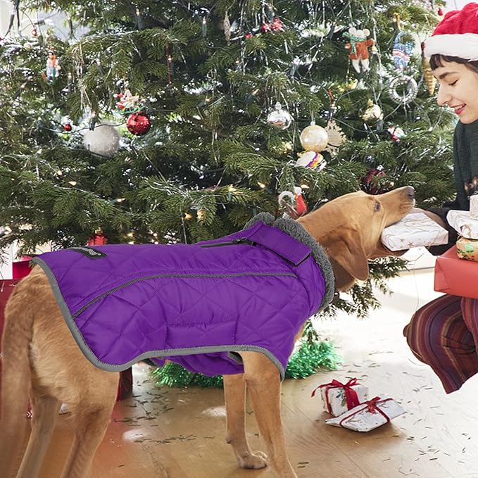 Fragralley Dog Coat Large, Waterproof Dog Jacket with Warm Fleece Lining, Adjustable Reflective Dogs Winter Coat, Turtleneck Pet Coats for Cold Weather (Purple XXL)
