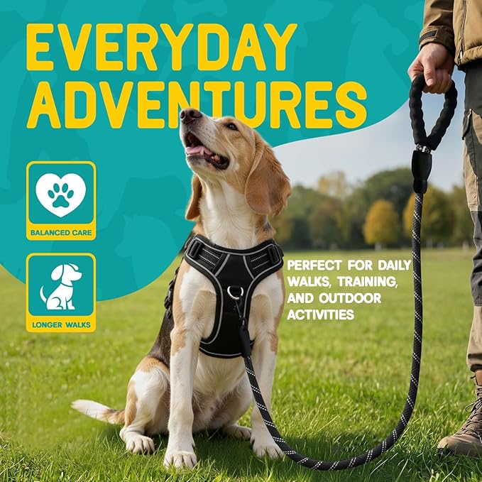 No Pull Dog Harness and Leash Set for Medium Dogs – Adjustable Reflective Breathable Soft Padded Easy Control Dog Harness for Training & Walking, Black (Medium)