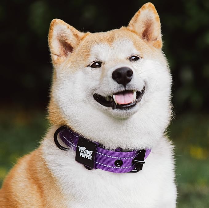 Tuff Pupper Heavy Duty Tactical Dog Collar | 1.5" Wide Ballistic Nylon | Reflective Stitching | Integrated ID Tag Holder | Stainless Steel Buckle | Padded Lining | Medium & Large Dogs (Purple, Medium)