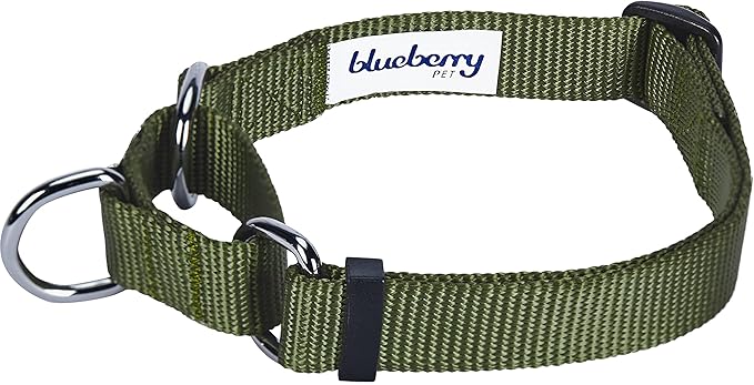 Blueberry Pet Essentials Martingale Safety Training Dog Collar, Military Green, X-Large, Heavy Duty Nylon Adjustable Collars for Dogs