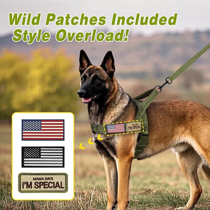 Forestpaw No Pull Dog Harness with Large Handle,Slip on Reflective Vest with Quick Release Buckle,Comfortable Flannel Lining for Medium Large Dogs Walking Training (Includes 3 Patches),Green M