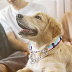 Martingale Dog Collars with Stainless Steel Chain, Reflective No Pull Walking Training Collar with Quick Release Buckle, Adjustable Slip Chain Nylon Dog Collars for Small Medium Large Dogs