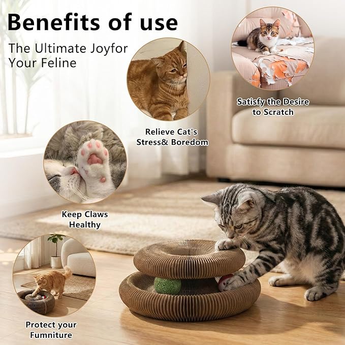 2-Pack Kitty Curls Cat Scratcher, Magic Organ Cat Toy with Catnip Ball for Indoor Cats – Foldable and Durable Honeycomb Design, Interactive Twisty Paws Cat Toy for Endless Play, Chase & Scratch