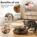 2-Pack Kitty Curls Cat Scratcher, Magic Organ Cat Toy with Catnip Ball for Indoor Cats – Foldable and Durable Honeycomb Design, Interactive Twisty Paws Cat Toy for Endless Play, Chase & Scratch
