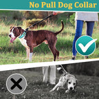 Mayerzon Martingale No Pull Collar for Large Medium Dogs Pitbull German Shepherd Rottweilers, Patented Reflective Anti Pull Dog Walking Collar with Buckle for Training Hiking, Adjustable(XL, Cyan)