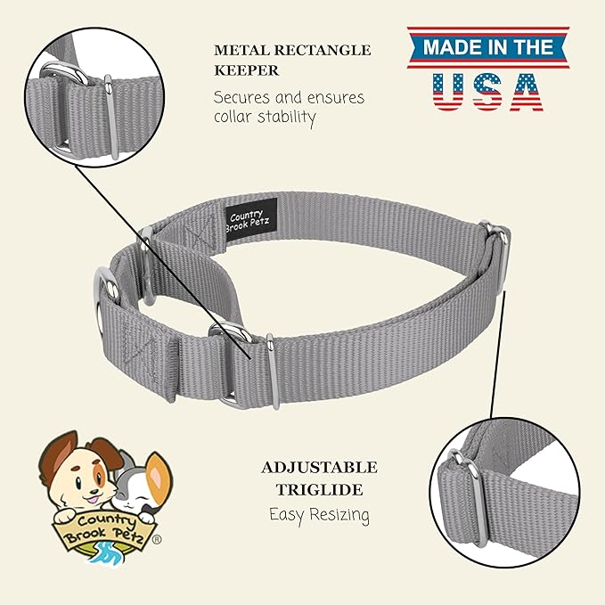 Country Brook Petz - Martingale Dog Collar - Heavy-Duty Training Collar with No Buckle - Service Dog Collar for All Pups - 10+ Cool Colors (Silver, 3/8 Inch, 3XS)