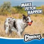 Chuckit! Ultra Dog Ball & Launcher Bundle Classic 26M 26" Length with 2 Pack Medium (2.5") Bouncy Fetch Balls for Dogs 20-60 lbs, Dog Fetch Ball Thrower