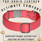 ADITYNA - Leather Dog Collar with Metal Buckle for Large, and Extra Large Dogs - Heavy-Duty, Adjustable, and Leather Tactical Dog Collar (Red, Fits 19-30" Necks)