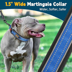 Mayerzon Martingale Collar for Medium Large Dogs, No Pull Dog Collar with Buckle, Soft Padded Reflective Martingale Dog Collar for Training Walking Outdoor(Blue, XL)