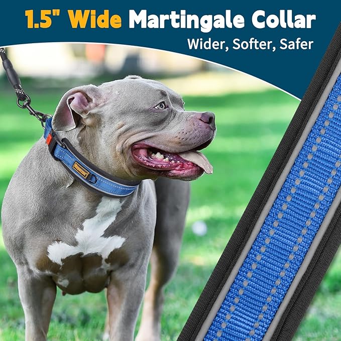 Mayerzon Martingale Collar for Medium Large Dogs, No Pull Dog Collar with Buckle, Soft Padded Reflective Martingale Dog Collar for Training Walking Outdoor(Blue, XXL)