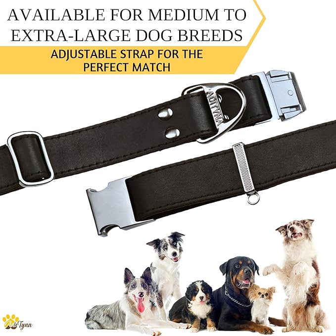 ADITYNA Leather Dog Collar with Metal Buckle - Heavy-Duty, Adjustable for Medium & Large Dogs - Walking, Training, Tactical (Black, Fits 15-21" Necks)