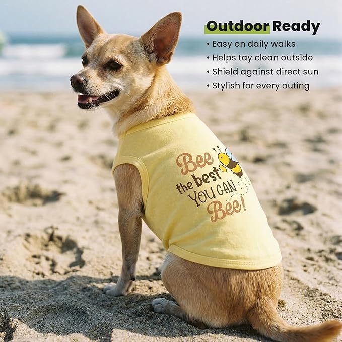 Fitwarm Bee the Best You Can Dog Shirt, Summer Clothes for Small Dogs Boy Girl, Funny Pet Outfit, Yellow, Brown, Blue, Medium