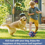 QDAN Dog Toys, Soccer Ball with Straps, Durable Dog Balls for Small Medium, Beach Pool Dog Water Toy (6 Inch)