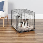 MidWest Homes for Pets 30-Inch iCrate for Medium Breeds, 21-40 lbs, Single Door Folding Dog Crate with Divider Panel, Leak-Proof Tray & Secure Latch, Portable, Durable & Easy to Assemble