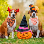 ADOGGYGO Halloween Dog Bandana, Pumpkin Ghost Pet Scarf, Orange Black Halloween Bandanas for Medium Large Dog (Large)