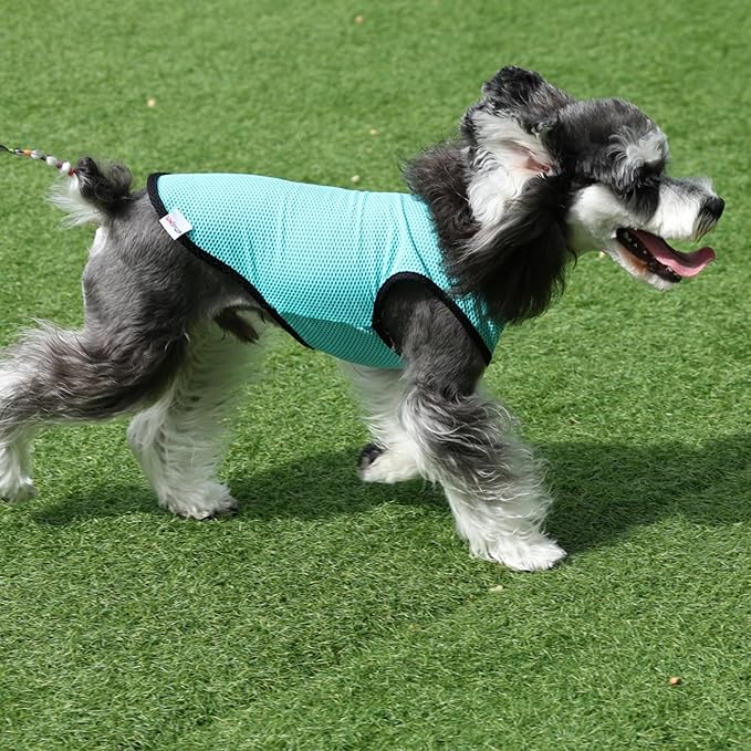 2 Pack Cooling Shirts for Dogs, Lightweight Mesh Breathable Dog Clothes for Medium Dogs Boy Girl,Sports Fan Pet T-Shirts for Dog&Cat Puppy Vest Pet Apparel - XL
