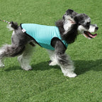 2 Pack Cooling Shirts for Dogs, Lightweight Mesh Breathable Dog Clothes for Medium Dogs Boy Girl,Sports Fan Pet T-Shirts for Dog&Cat Puppy Vest Pet Apparel - XL