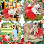 Dog Tutu Tulle Tutu for Dogs Small Large Medium Puppy Dress Ballerina Costume Skirt for Holiday Puppy Cats Bunny Pet Outfit Birthday Wedding Party Photo Prop Supplies(Red)