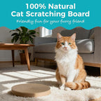 2Pcs Round Cat Scratcher Refill, 10 Inch Diameter Cardboard Cat Scratching Board Circle Replacement Pads for Indoor Cat Toy