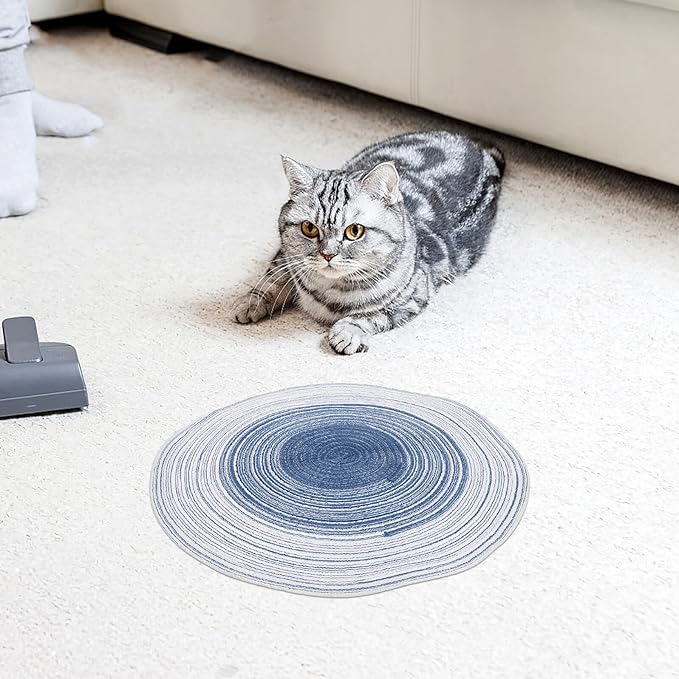 DOITOOL 2pcs Indoor Cat Scratching Pads Cotton Rope Kitten Claw Grinding Mat Reusable Scratch Board for Summer Use