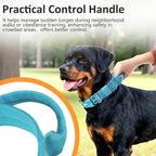 Tactical Dog Collar with Control Handle, Military Adjustable Pet Collar Reflective Heavy Metal Buckle Dog Collar, Soft Nylon Training Collar for Medium Large Dogs (Blue, Large)