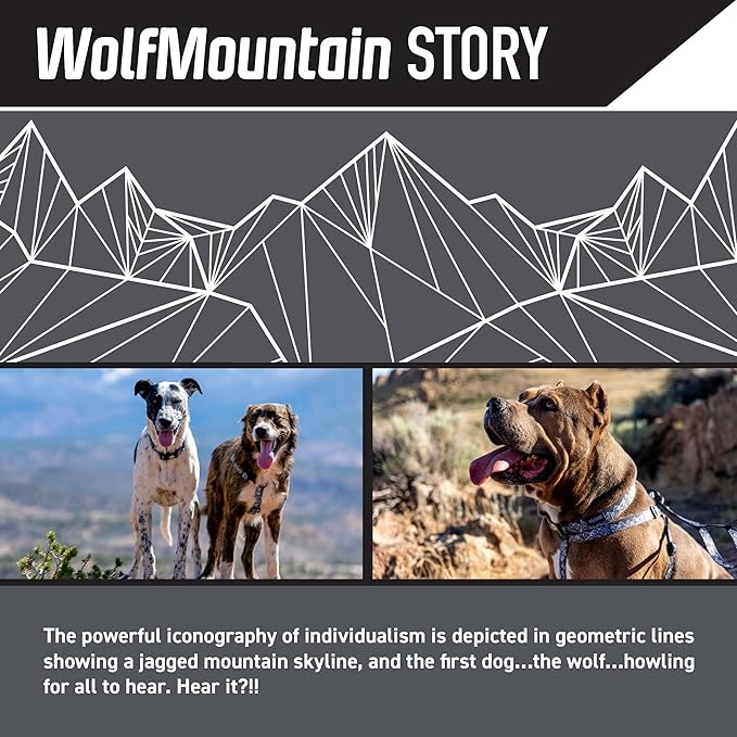 Wolfgang Heavy Duty, Adjustable Dog Collar with Quick Release Nylon Buckle for Walking & Training, WolfMountain Print, Small