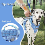 Light Dog Harness for Small Dog Breeds, French Bulldog Puggle Terriers, No-Pull Pet Harness with 2 Leash Clips, Adjustable Soft Padded Dog Vest, Reflective No-Choke Pet Oxford Vest, Blue, Small