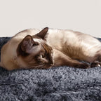 Topeakmart Cat Tree 76inch, Large Cat Tower with Condo Scratching Post for Inoor Cats Play Rest