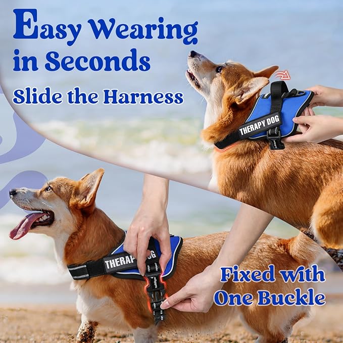 rabbitgoo Dog Harness Medium Sized, No Pull No Choke Pet Vest, Easy Wearing with One Buckle, Reflective, Adjustable Pet Harness with Molle for Walking, Training, Blue, M