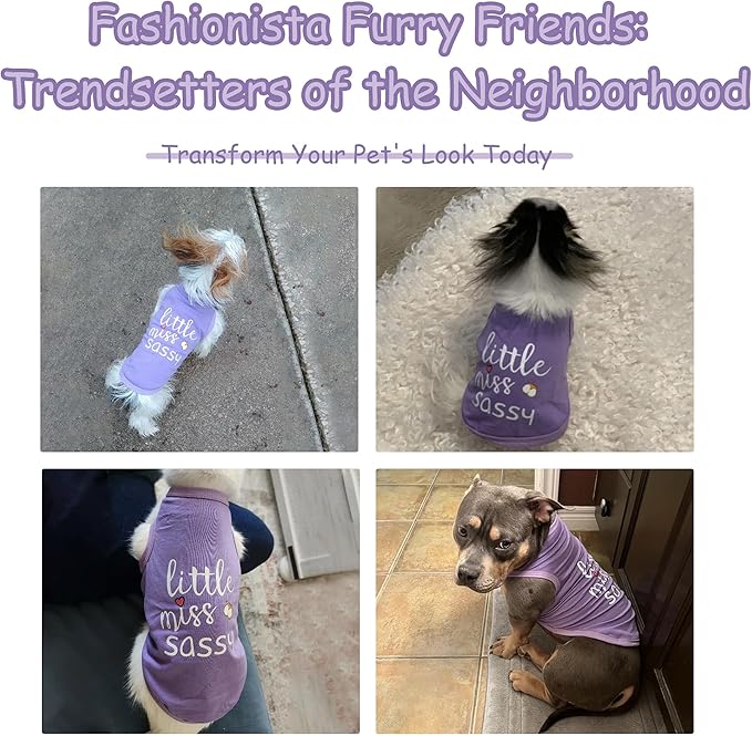 Paiaite Dog Clothes Fashionable Sleeveless Pet Vest: 'Little Miss Sassy' Printed Cotton Dog Shirt, Ideal for Small, Medium, and Large Breeds, Ensuring Comfort and Breathability Purple XXL