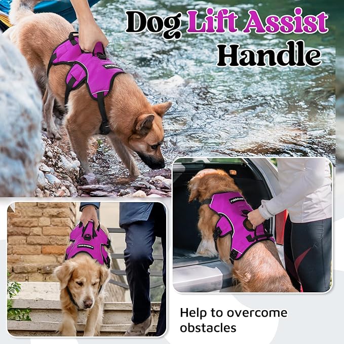 rabbitgoo Escape Proof Dog Harness, Soft Padded Full Body Pet Harness, Reflective Adjustable No Pull Vest with Lift Handle and Leash Clip for Large Dogs Walking Hiking Training, XL, Purple
