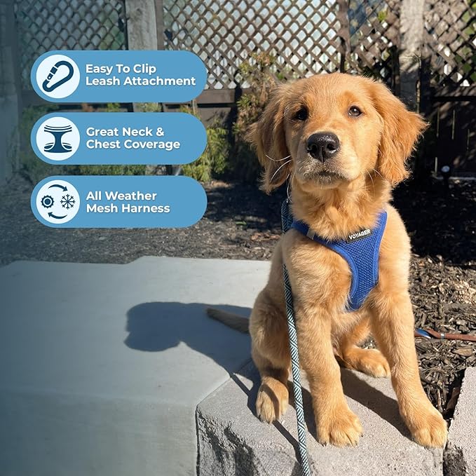 Best Pet Supplies Voyager Step-in Air All Weather Mesh Harness and Reflective Dog 5 ft Leash Combo with Neoprene Handle, for Small, Medium and Large Breed Puppies - Set (Royal Blue), XL