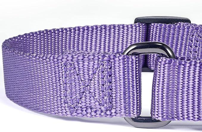 Premium Nylon Adjustable Anti-Escape Martingale Dog Collars,Soft and Silky Dog Collar with Heavy Duty D-Ring for Large Active Dogs Training&Walking. (Ultra Violet, Large)
