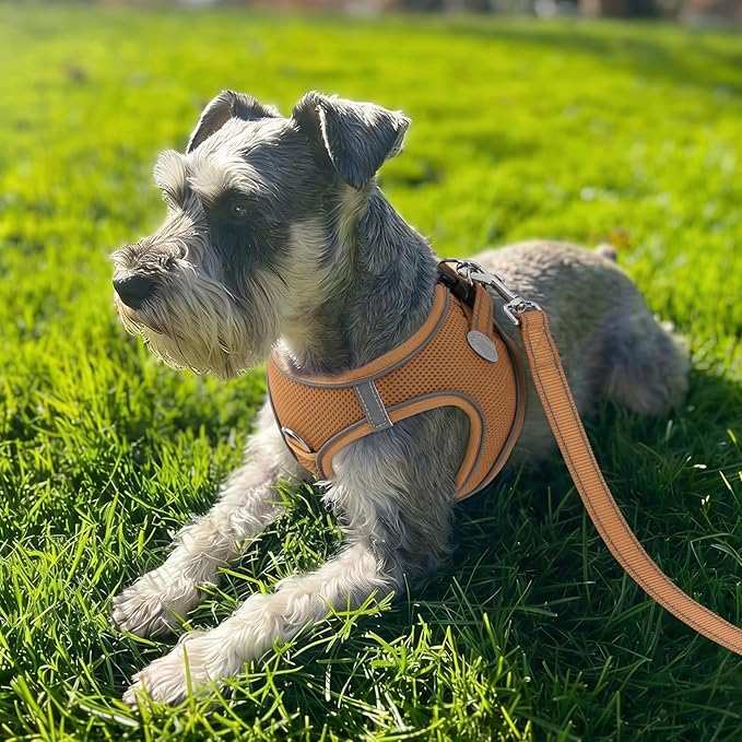 Joytale Small Dog Harness, Breathable Mesh Step-in Vest, Reflective Soft Padded Harnesses for Small and Medium Dogs, Brown, L