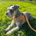 Joytale Small Dog Harness, Breathable Mesh Step-in Vest, Reflective Soft Padded Harnesses for Small and Medium Dogs, Brown, M