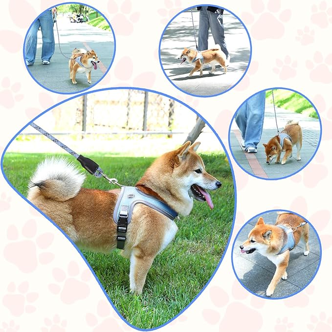 Dog Harness and Leash Set, No Pull Saddle Style Pet Harness, Breathable Mesh Adjustable Reflective Dog Vest for Dogs and Cat Medium Small Harness 2 D-Rings (Blue, L)