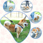 Dog Harness and Leash Set, No Pull Saddle Style Pet Harness, Breathable Mesh Adjustable Reflective Dog Vest for Dogs and Cat Medium Small Harness 2 D-Rings (Blue, M)