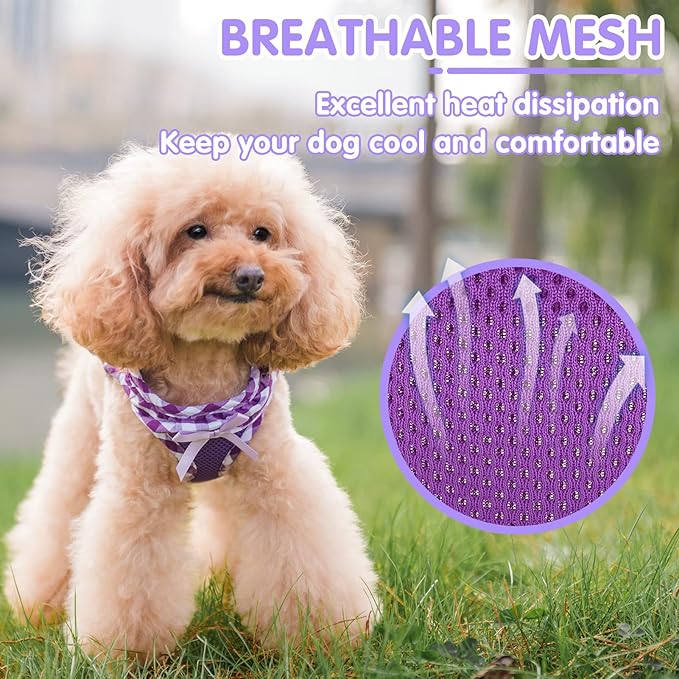 PUPTECK Dog Harness for Puppy and Small Sized Dogs, Step-in No Pull Soft Mesh Vest Harness for Cats Small Pets Walking, Purple, New XS